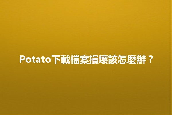 Potato下載檔案損壞該怎麼辦？🛠️💾