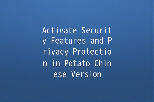 Activate Security Features and Privacy Protection in Potato Chinese Version 🥔🔒