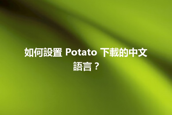 如何設置🍟 Potato 下載的中文語言？