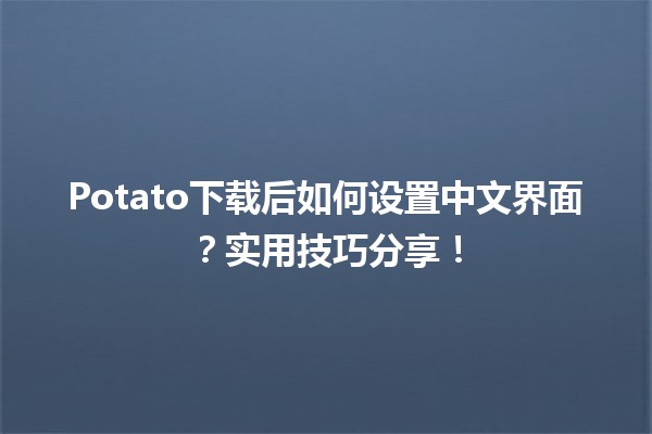 📥 Potato下载后如何设置中文界面？实用技巧分享！