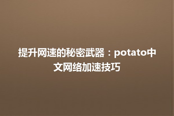 🚀 提升网速的秘密武器：potato中文网络加速技巧🎉