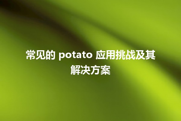 🚀 常见的 potato 应用挑战及其解决方案