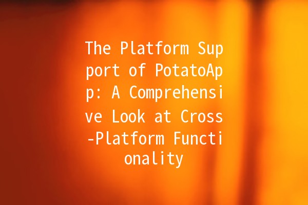 The Platform Support of PotatoApp: A Comprehensive Look at Cross-Platform Functionality 🚀🌐