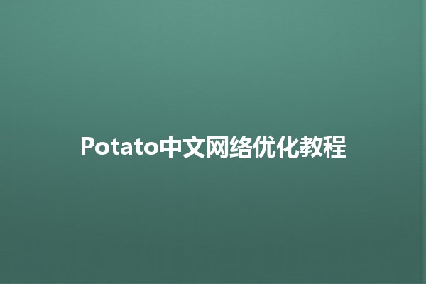 Potato中文网络优化教程🍟✨