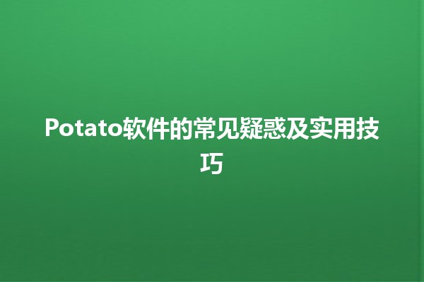 Potato软件的常见疑惑及实用技巧 💻🥔