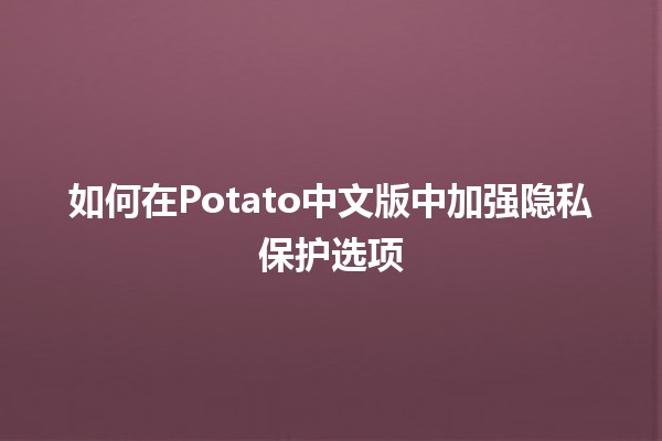 如何在Potato中文版中加强隐私保护选项🔒🛡️