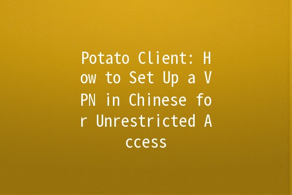 Potato Client: How to Set Up a VPN in Chinese for Unrestricted Access 📶🔒