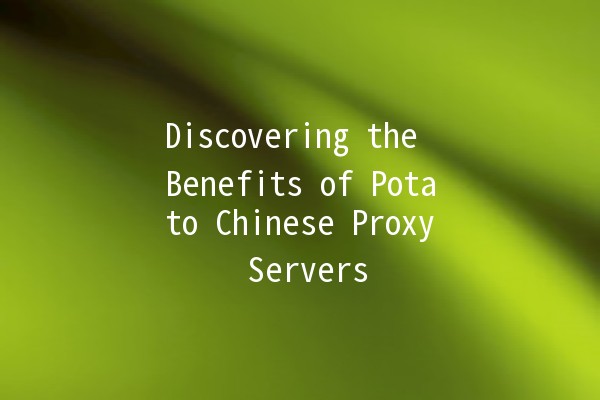 Discovering the Benefits of Potato Chinese Proxy Servers 🍟🌐