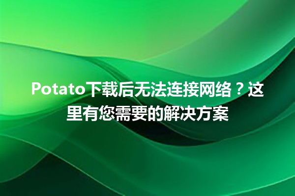 🚀 Potato下载后无法连接网络？这里有您需要的解决方案✨