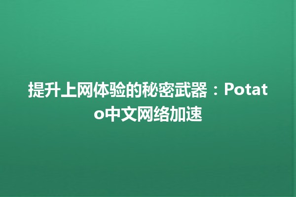 🚀 提升上网体验的秘密武器：Potato中文网络加速 🥔