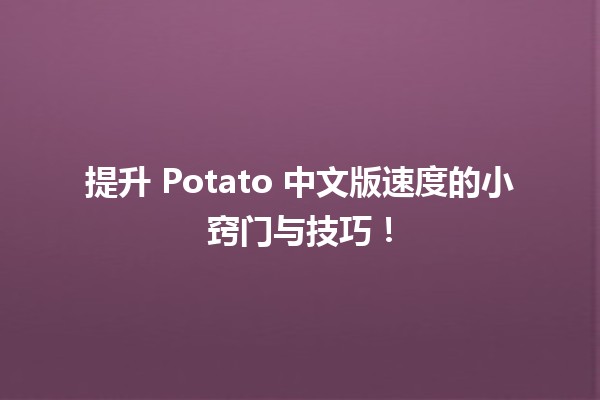 🚀 提升 Potato 中文版速度的小窍门与技巧！