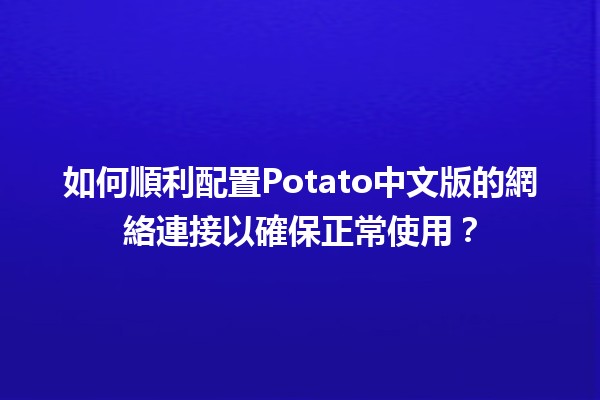 ✨ 如何順利配置Potato中文版的網絡連接以確保正常使用？