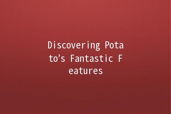 Discovering Potato’s Fantastic Features 🚀🛠️