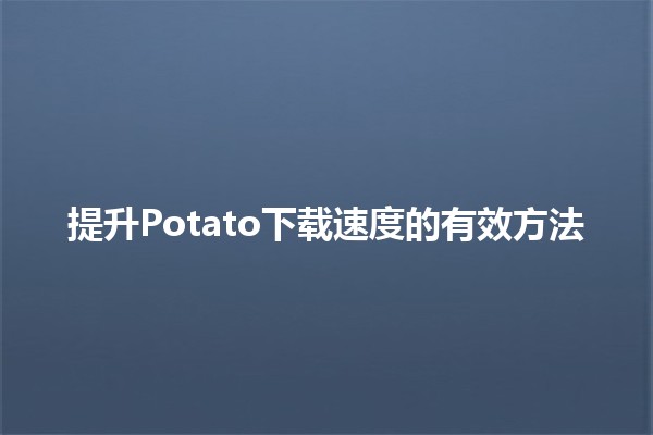 提升Potato下载速度的有效方法 🚀