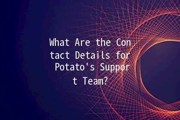 What Are the Contact Details for Potato's Support Team? 🥔📞