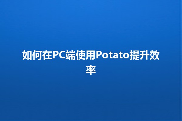 如何在PC端使用Potato提升效率🌟💻