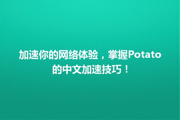 🚀 加速你的网络体验，掌握Potato的中文加速技巧！