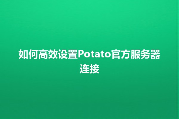 如何高效设置Potato官方服务器连接 🚀🖥️