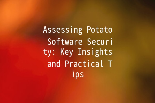 Assessing Potato Software Security: Key Insights and Practical Tips 🔒🥔