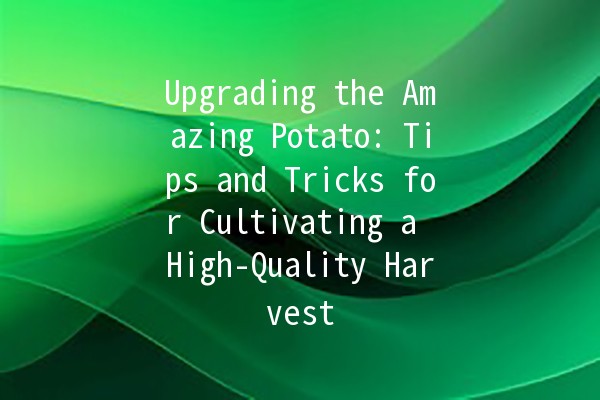 🌱 Upgrading the Amazing Potato: Tips and Tricks for Cultivating a High-Quality Harvest 🥔