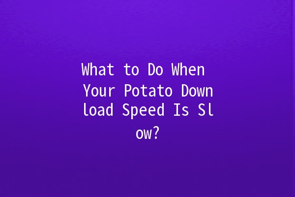 What to Do When Your Potato Download Speed Is Slow? 🥔💨