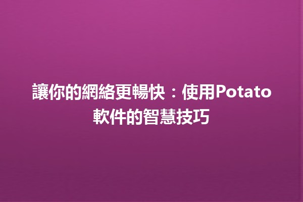 讓你的網絡更暢快🚀：使用Potato軟件的智慧技巧