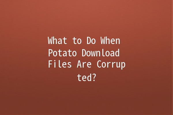 What to Do When Potato Download Files Are Corrupted? 🥔💻