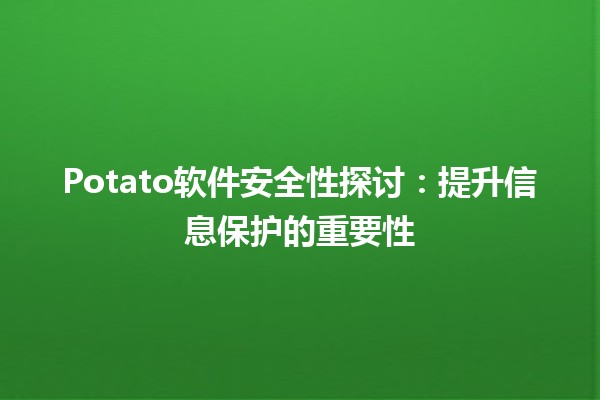 🥔 🔒 Potato软件安全性探讨：提升信息保护的重要性