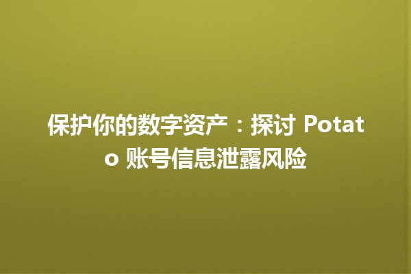 🚨 保护你的数字资产：探讨 Potato 账号信息泄露风险 🚨