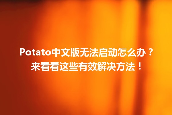 Potato中文版无法启动怎么办？来看看这些有效解决方法！🛠️💻