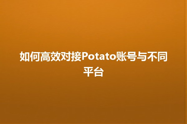 如何高效对接Potato账号与不同平台🚀