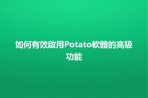 如何有效啟用Potato軟體的高級功能✨🚀