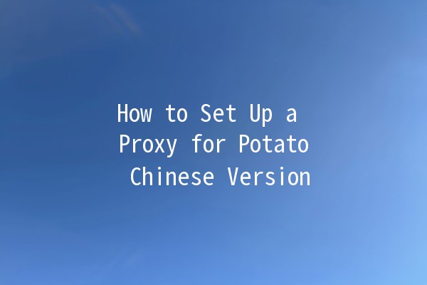 How to Set Up a Proxy for Potato Chinese Version 🥔🚀