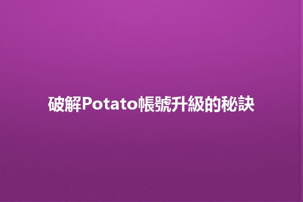 破解Potato帳號升級的秘訣💡✨