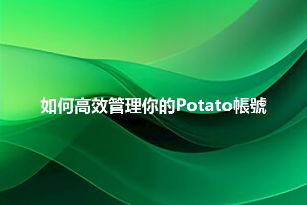 如何高效管理你的Potato帳號 🥔✨