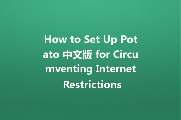 How to Set Up Potato 中文版 for Circumventing Internet Restrictions 🌐🆓