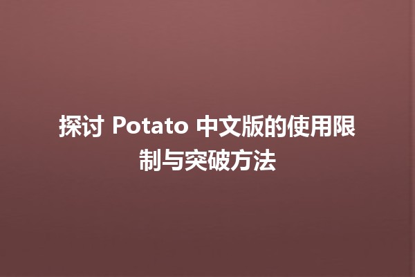 🥔 探讨 Potato 中文版的使用限制与突破方法