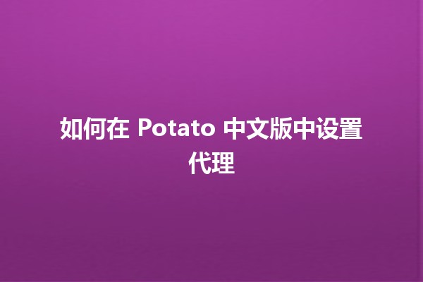 如何在 Potato 中文版中设置代理 ☁️🌐