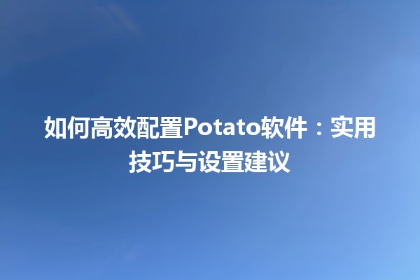 如何高效配置Potato软件🎮💻：实用技巧与设置建议