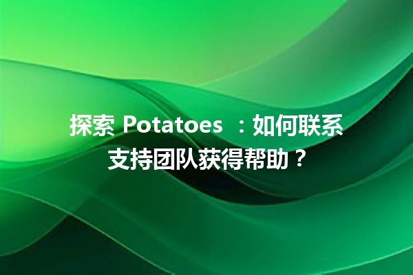 探索 Potatoes ❤️🍟：如何联系支持团队获得帮助？