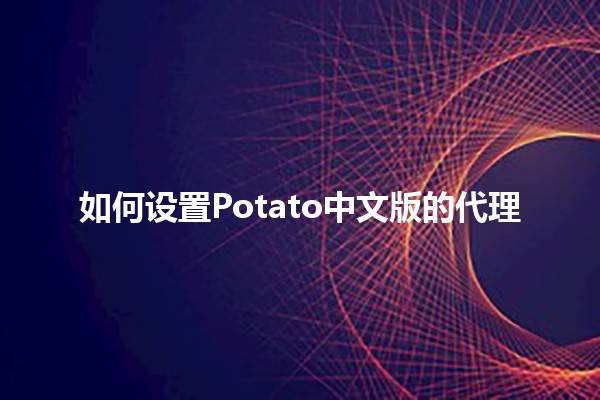 如何设置Potato中文版的代理 🌐🔧