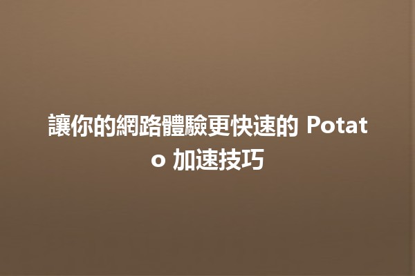 🥔 讓你的網路體驗更快速的 Potato 加速技巧 🚀