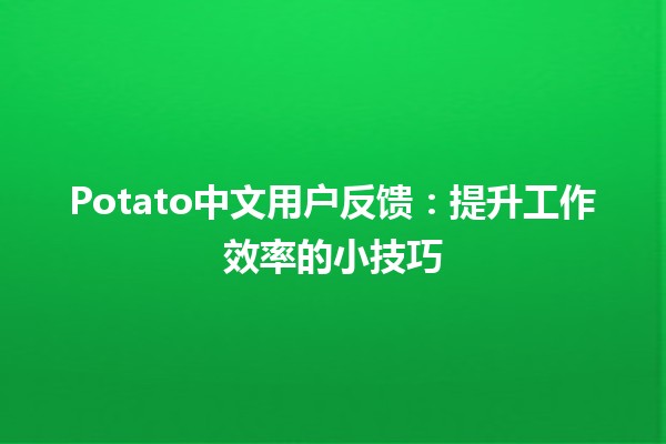 Potato中文用户反馈：提升工作效率的小技巧🥔💻