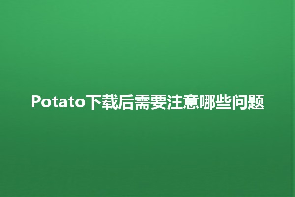 Potato下载后需要注意哪些问题📝⚠️