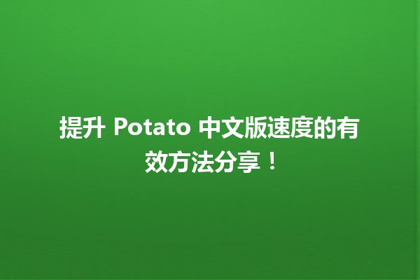 🚀 提升 Potato 中文版速度的有效方法分享！