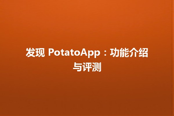 🚀 发现 PotatoApp：功能介绍与评测 🔍