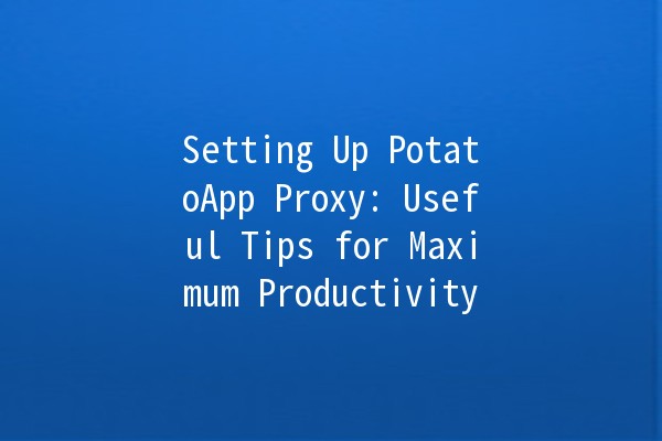 Setting Up PotatoApp Proxy: Useful Tips for Maximum Productivity 🚀🍟