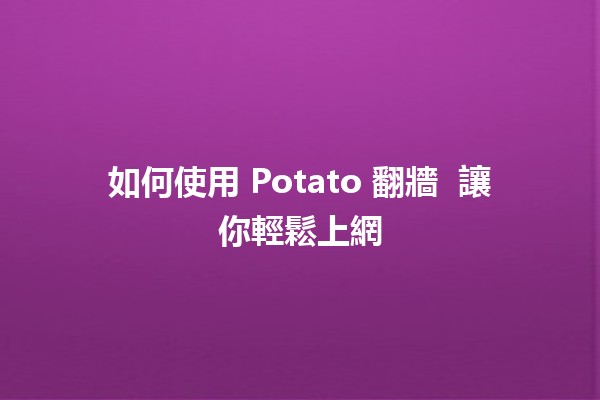 如何使用 Potato 翻牆 🌐🔑 讓你輕鬆上網