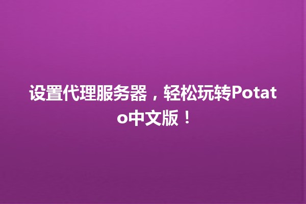 设置代理服务器，轻松玩转Potato中文版！🖥️🕹️