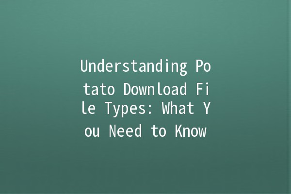 Understanding Potato Download File Types: What You Need to Know 📂🥔